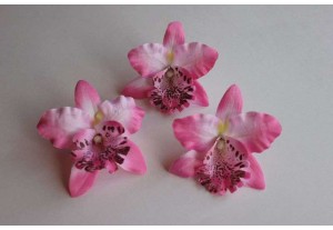 Головка Орхидеи бело-розовая D 7см, шт