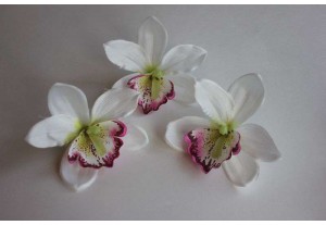 Головка Орхидеи крупная белая D 12см, шт